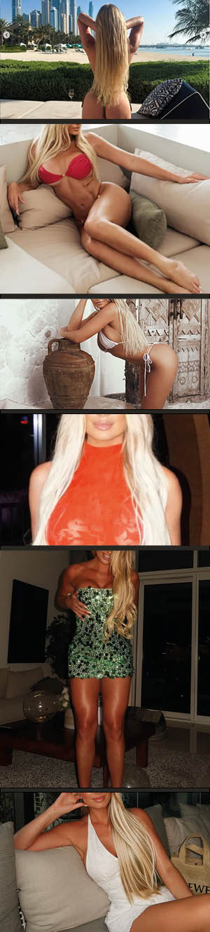 Ari Blue Label Models